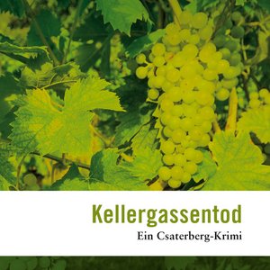 Buchcover von "Kellergassentod – Ein Csaterberg-Krimi" von Franz Stangl